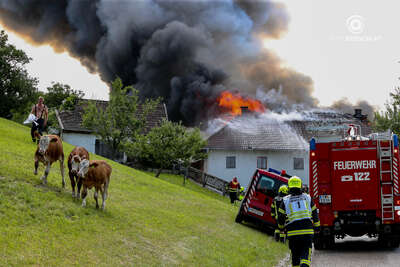 Großbrand auf einem Bauernhof in Garsten foke-2021072414341973-017.jpg