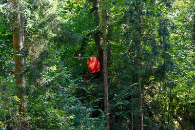 Fahrzeug landet in Waldstück – Baum verhindert Absturz über einen Abhang BRANDSTAETTER-20210815-81.jpg