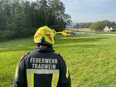Forstunfall in Tragwein Personenrettung-Haarland-04102021-18-35a574eff45280086aa5551.jpg