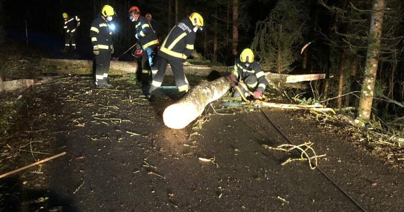 Umgestürzter Baum blockierte Straße zwischen Wankham und Hattenberg