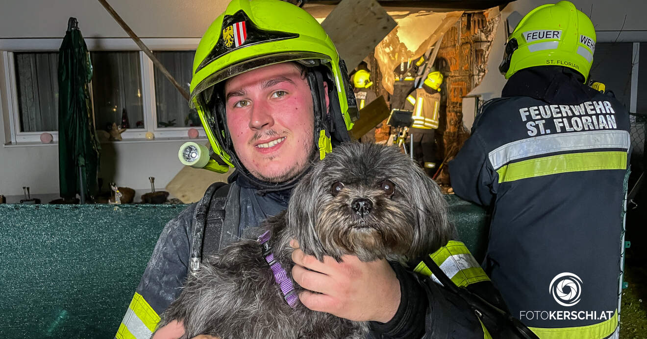 Brand auf Terrasse - Hund von Feuerwehren gerettet