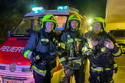 Brand auf Terrasse - Hund von Feuerwehren gerettet FOKE-2021123018294890-043.jpg