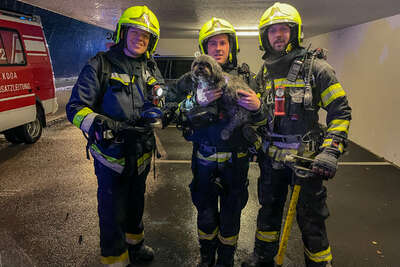 Brand auf Terrasse - Hund von Feuerwehren gerettet FOKE-2021123018304899-052.jpg
