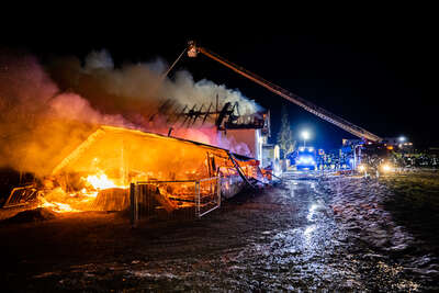 Wohnhaus bei Brand völlig zerstört FOKE-2022012304330795-021.jpg