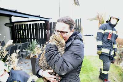 Katze fiel in Kanalschacht - Kater Mucki von Feuerwehr gerettet AY4I9033.jpg