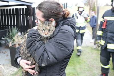 Katze fiel in Kanalschacht - Kater Mucki von Feuerwehr gerettet AY4I9035.jpg