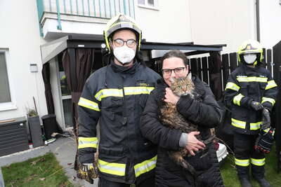 Katze fiel in Kanalschacht - Kater Mucki von Feuerwehr gerettet AY4I9042.jpg