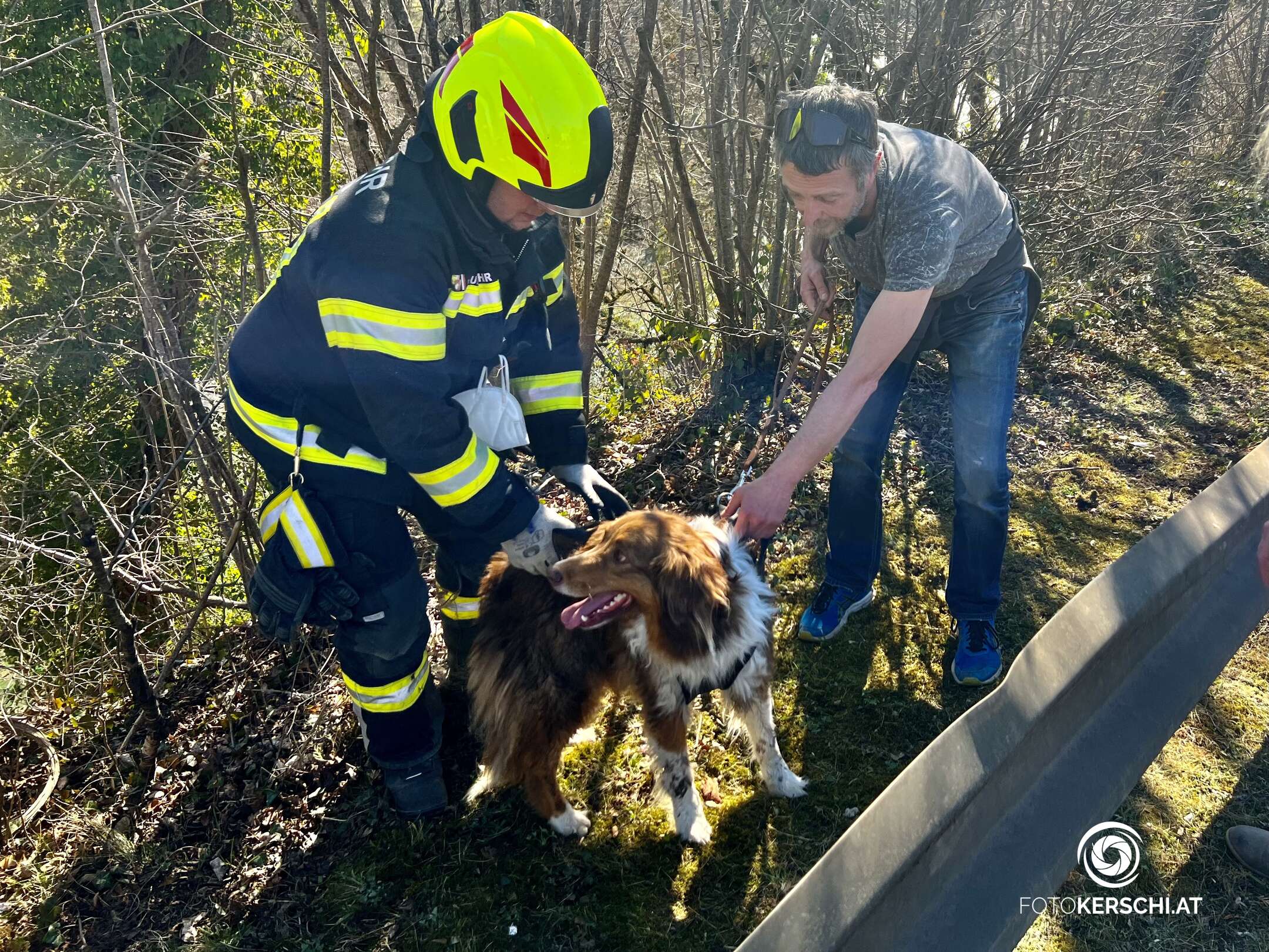 Hund von Feuerwehr aus steiler Böschung gerettet