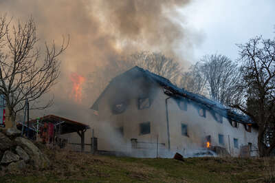 Brand auf einem Bauernhof BRANDSTAETTER-20220329-35.jpg