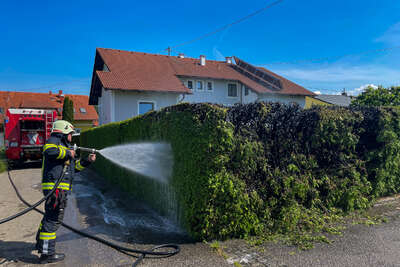 Anrainer hielten Brand mit Gartenschläuchen in Schach FOKE-2022052014429460-004.jpg