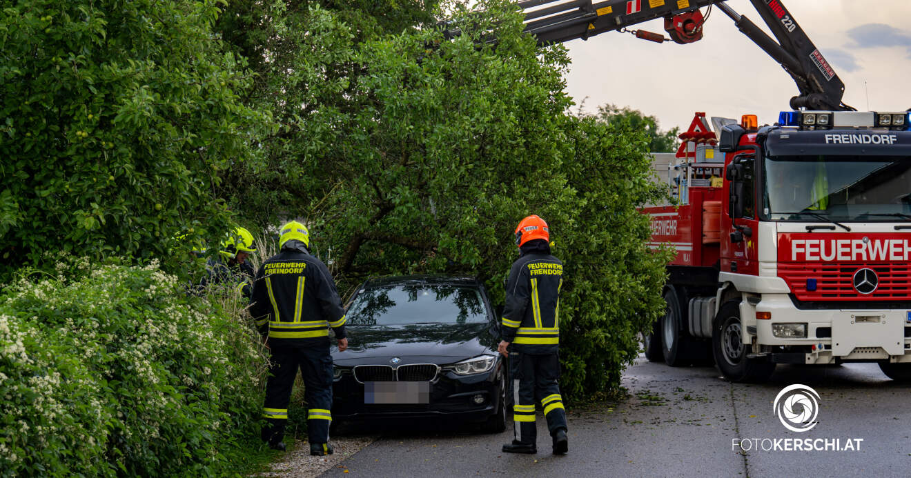 Sturmschaden: Baum auf Fahrzeug