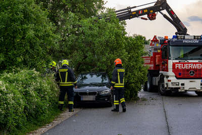 Sturmschaden: Baum auf Fahrzeug fkstore-39700.jpg