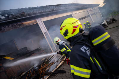 Bauernhof geriet in Brand: Großeinsatz beim Flughafen FOKE-2022071520137163-014.jpg