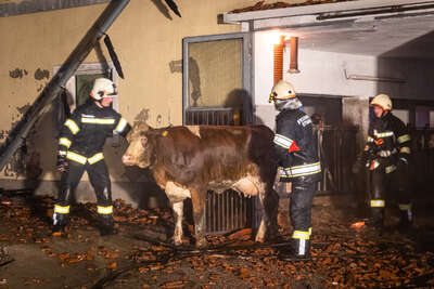 Höchste Alarmstufe - Bauernhof in Flammen BAYER-AB2-5562.jpg