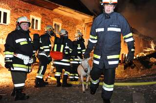 Bauernhof in Vollbrand: Fünf Kinder und zahlreiche Tiere von Feuerwehr in Sicherheit gebracht brand-bachmanning-10.jpg