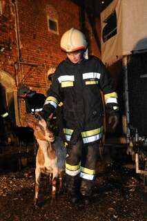 Bauernhof in Vollbrand: Fünf Kinder und zahlreiche Tiere von Feuerwehr in Sicherheit gebracht brand-bachmanning-14.jpg
