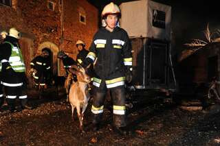 Bauernhof in Vollbrand: Fünf Kinder und zahlreiche Tiere von Feuerwehr in Sicherheit gebracht brand-bachmanning-15.jpg