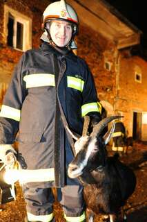 Bauernhof in Vollbrand: Fünf Kinder und zahlreiche Tiere von Feuerwehr in Sicherheit gebracht brand-bachmanning-17.jpg