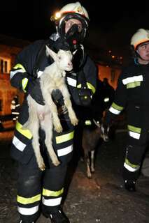Bauernhof in Vollbrand: Fünf Kinder und zahlreiche Tiere von Feuerwehr in Sicherheit gebracht brand-bachmanning-18.jpg