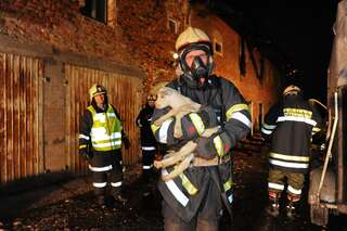Bauernhof in Vollbrand: Fünf Kinder und zahlreiche Tiere von Feuerwehr in Sicherheit gebracht brand-bachmanning-24.jpg