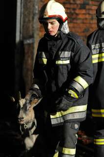 Bauernhof in Vollbrand: Fünf Kinder und zahlreiche Tiere von Feuerwehr in Sicherheit gebracht brand-bachmanning-30.jpg