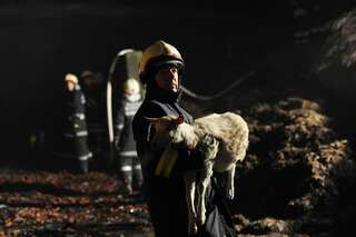 Bauernhof in Vollbrand: Fünf Kinder und zahlreiche Tiere von Feuerwehr in Sicherheit gebracht brand-bachmanning-40.jpg