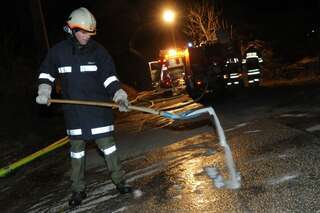 Bauernhof in Vollbrand: Fünf Kinder und zahlreiche Tiere von Feuerwehr in Sicherheit gebracht brand-bachmanning-42.jpg
