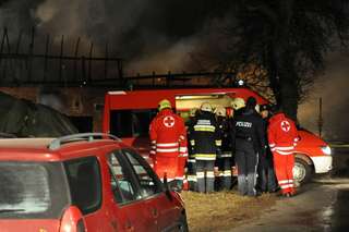 Bauernhof in Vollbrand: Fünf Kinder und zahlreiche Tiere von Feuerwehr in Sicherheit gebracht brand-bachmanning-47.jpg
