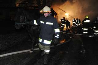 Bauernhof in Vollbrand: Fünf Kinder und zahlreiche Tiere von Feuerwehr in Sicherheit gebracht brand-bachmanning-49.jpg