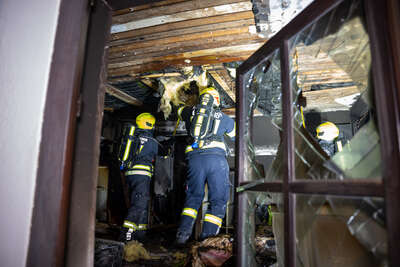 Zwei Personen bei Wohnungsbrand von Feuerwehr gerettet FOKE-2022091919372478-138.jpg