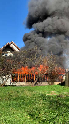 Gartenhütte brannte vollkommen nieder foto-01.jpg