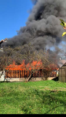 Gartenhütte brannte vollkommen nieder foto-03.jpg