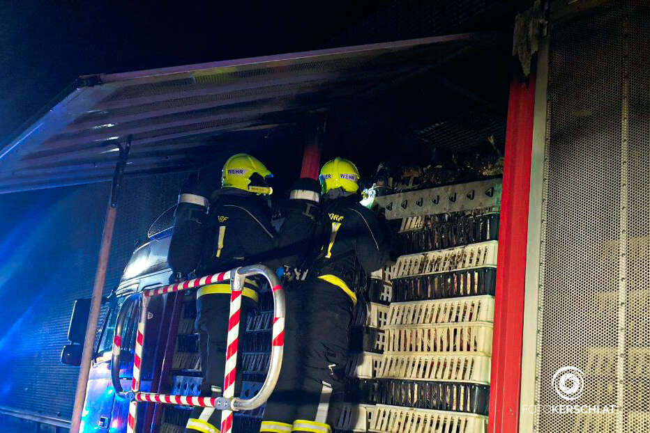 Tiertransporter auf A1 bei Ansfelden in Brand geraten