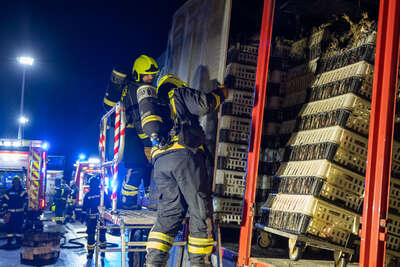 Tiertransporter auf A1 bei Ansfelden in Brand geraten DRAXLER-20221028004650250-034.jpg