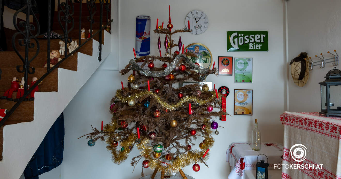 Titelbild: Der nachhaltigste Christbaum Oberösterreichs