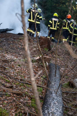 Brand einer Hütte am Attersee DSC-4250.jpg