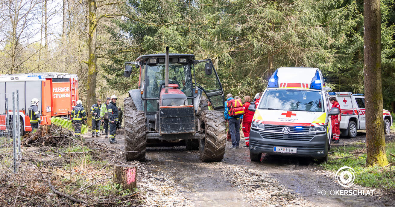 Titelbild: Forstunfall in Stroheim: Mann leicht verletzt