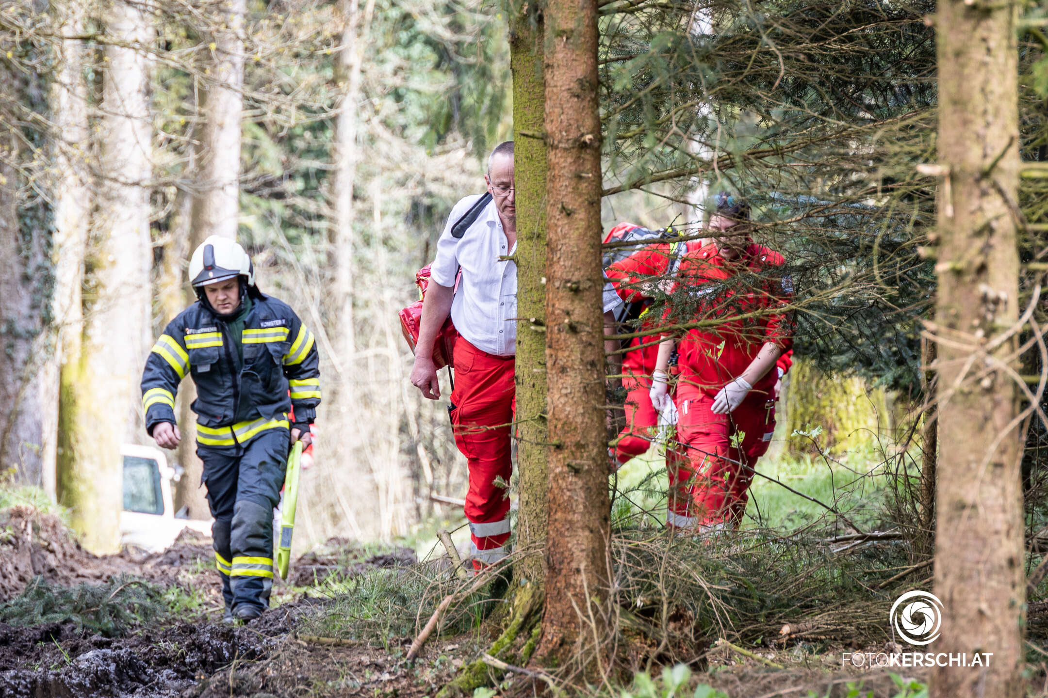 Forstunfall in Stroheim: Mann leicht verletzt