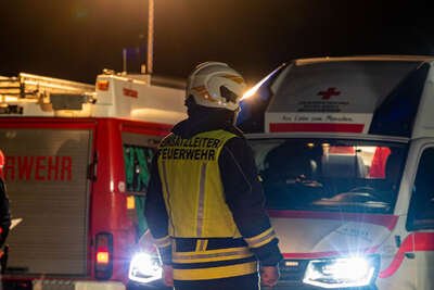 59-Jähriger stürzt von Transportschiff in die Donau DSC-0493.jpg