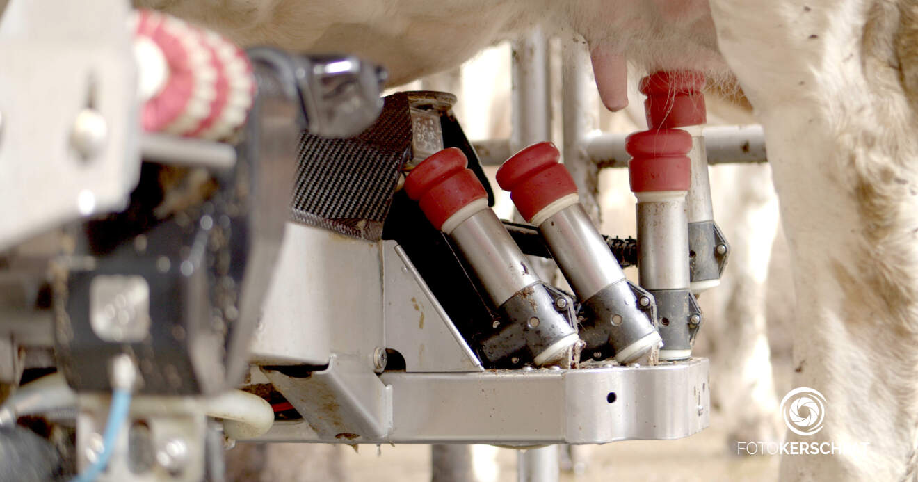 Weltmilchtag: Agrargemeinschaft Österreich (AGÖ) macht auf die Wertigkeit der Milch aufmerksam
