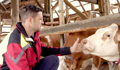 Weltmilchtag: Agrargemeinschaft Österreich (AGÖ) macht auf die Wertigkeit der Milch aufmerksam foke-67947.jpg