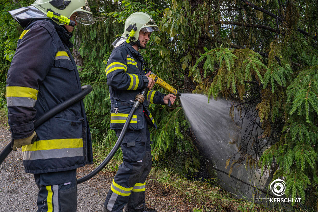 Böschungsbrand in Pregarten erfolgreich von Passanten gelöscht - Feuerwehr im Einsatz