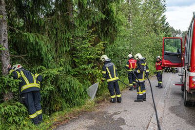 Böschungsbrand in Pregarten erfolgreich von Passanten gelöscht - Feuerwehr im Einsatz Brand-Flur-Baum-Boeschung-04-06-2023-6472.jpg