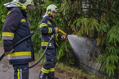Böschungsbrand in Pregarten erfolgreich von Passanten gelöscht - Feuerwehr im Einsatz Brand-Flur-Baum-Boeschung-04-06-2023-6478.jpg