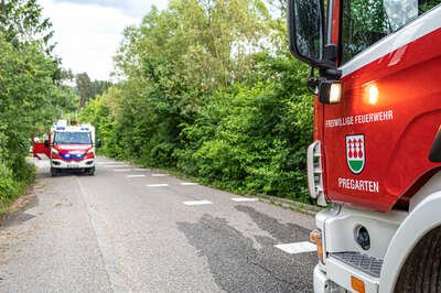Böschungsbrand in Pregarten erfolgreich von Passanten gelöscht - Feuerwehr im Einsatz Brand-Flur-Baum-Boeschung-04-06-2023-6494.jpg