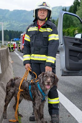 Verkehrsunfall auf der A1-Hund "Emil" von Feuerwehr betreut DSC-1517.jpg