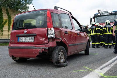Verkehrsunfall auf der A1-Hund "Emil" von Feuerwehr betreut DSC-7429.jpg
