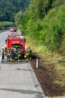 Böschungsbrand auf der Autobahn A1 DSC-1824.jpg