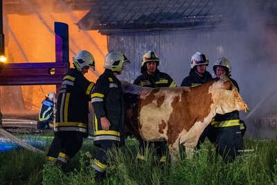 Großbrand in Pöndorf - 15 Feuerwehren im Löscheinsatz DSC-2627.jpg